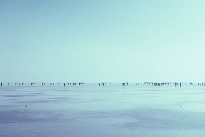 白天，人们在地平线上的海滨散步